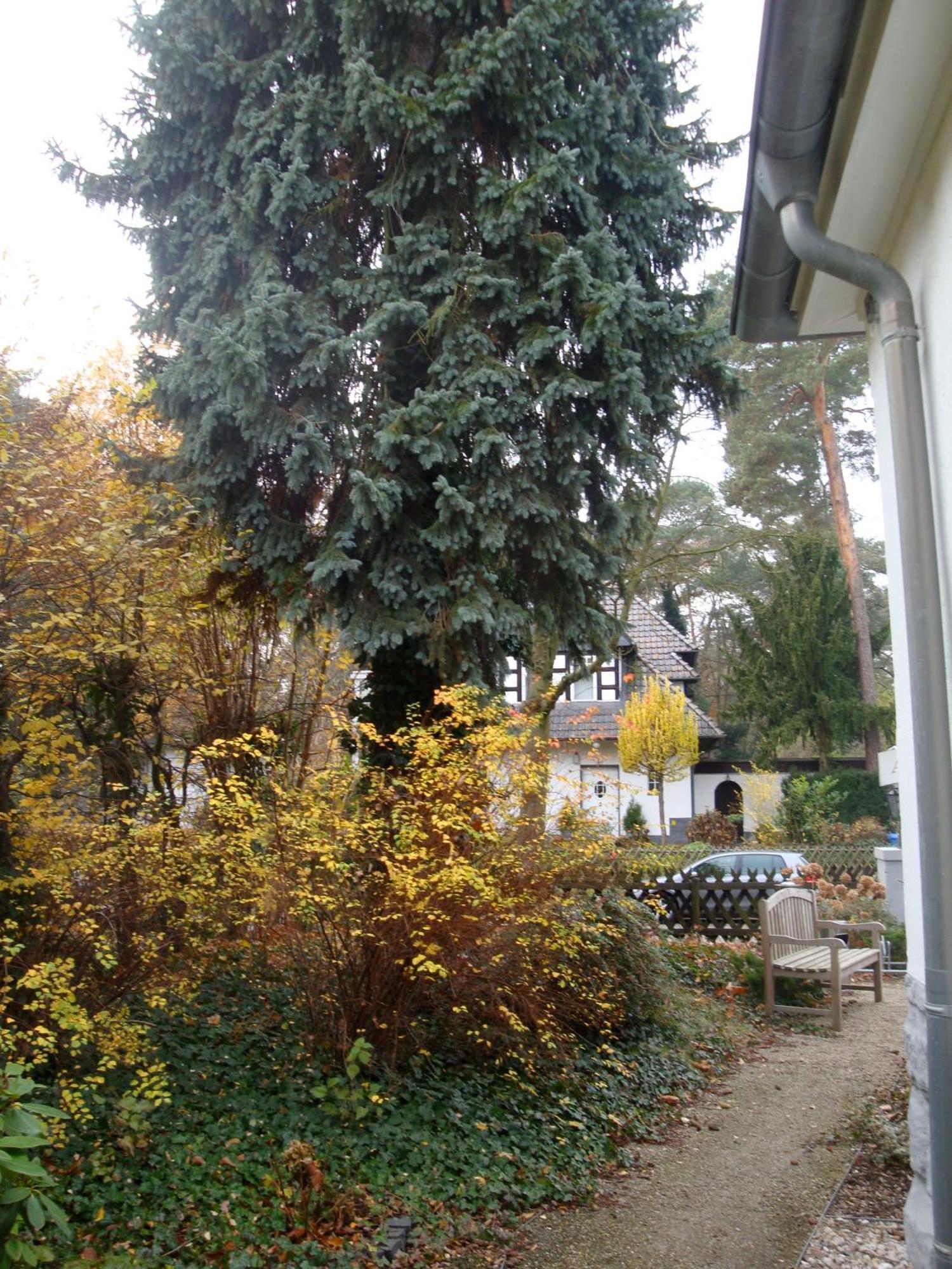 Hotel Landhaus Schlachtensee Berlin Bagian luar foto